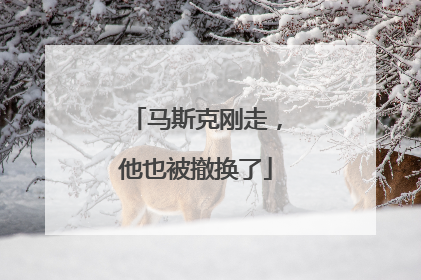 马斯克刚走，他也被撤换了