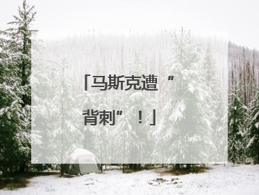 马斯克遭“背刺”！