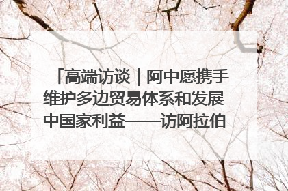 高端访谈｜阿中愿携手维护多边贸易体系和发展中国家利益——访阿拉伯议会议长亚马希