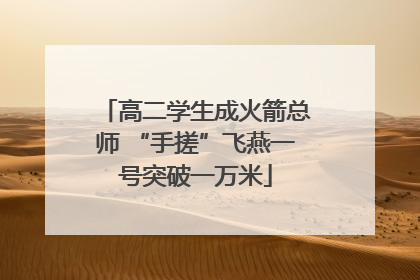 高二学生成火箭总师 “手搓”飞燕一号突破一万米