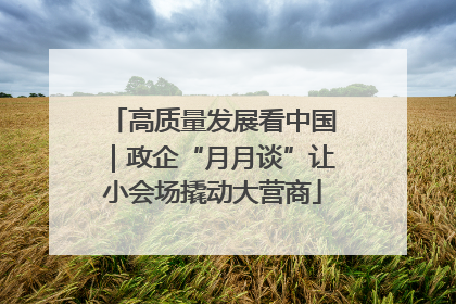 高质量发展看中国｜政企“月月谈”让小会场撬动大营商