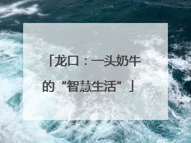 龙口：一头奶牛的“智慧生活”