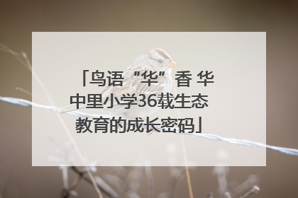 鸟语“华”香 华中里小学36载生态教育的成长密码