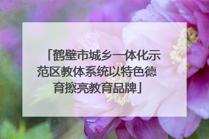 鹤壁市城乡一体化示范区教体系统以特色德育擦亮教育品牌