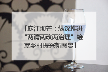 麻江坝芒：纵深推进“两清两改两治理”绘就乡村振兴新图景