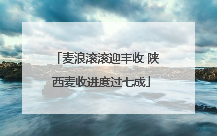 麦浪滚滚迎丰收 陕西麦收进度过七成