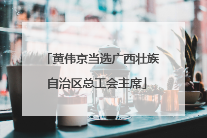 黄伟京当选广西壮族自治区总工会主席