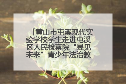 黄山市屯溪现代实验学校学生走进屯溪区人民检察院“昱见未来”青少年法治教育宣传基地