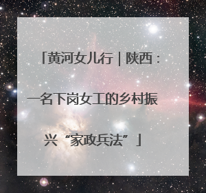 黄河女儿行｜陕西：一名下岗女工的乡村振兴“家政兵法”