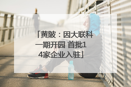 黄陂：因大联科一期开园 首批14家企业入驻