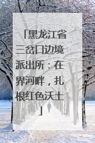 黑龙江省三岔口边境派出所：在界河畔，扎根红色沃土