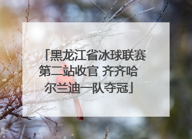 黑龙江省冰球联赛第二站收官 齐齐哈尔兰迪一队夺冠