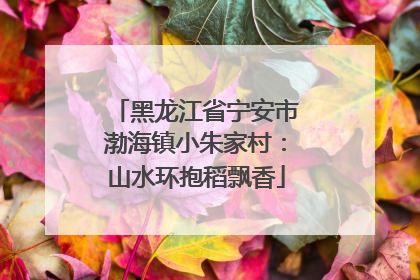 黑龙江省宁安市渤海镇小朱家村：山水环抱稻飘香