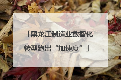黑龙江制造业数智化转型跑出“加速度”