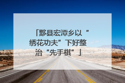黟县宏潭乡以“绣花功夫”下好整治“先手棋”