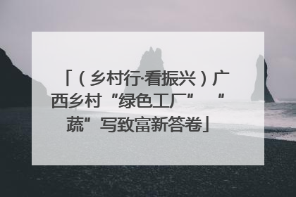 （乡村行·看振兴）广西乡村“绿色工厂” “蔬”写致富新答卷