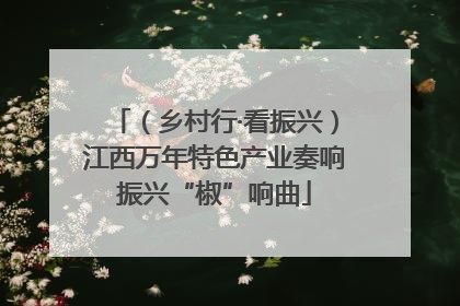 （乡村行·看振兴）江西万年特色产业奏响振兴“椒”响曲