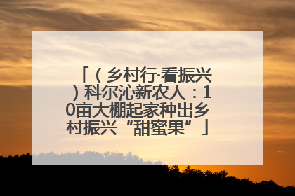 （乡村行·看振兴）科尔沁新农人：10亩大棚起家种出乡村振兴“甜蜜果”