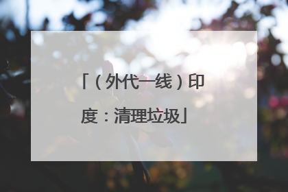 （外代一线）印度：清理垃圾