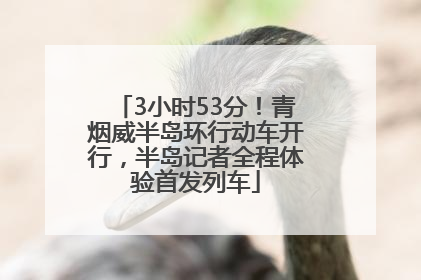 3小时53分！青烟威半岛环行动车开行，半岛记者全程体验首发列车