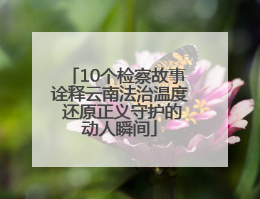 10个检察故事诠释云南法治温度 还原正义守护的动人瞬间