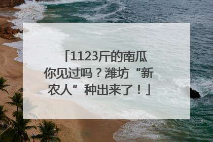 1123斤的南瓜你见过吗？潍坊“新农人”种出来了！