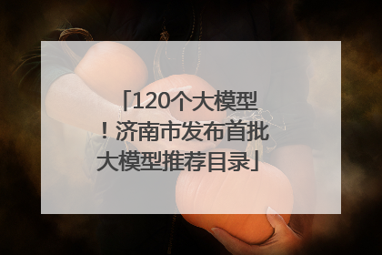 120个大模型！济南市发布首批大模型推荐目录