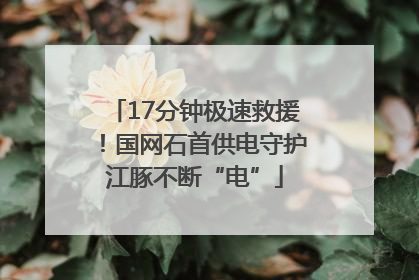 17分钟极速救援！国网石首供电守护江豚不断“电”
