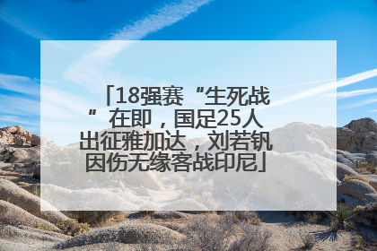 18强赛“生死战”在即，国足25人出征雅加达，刘若钒因伤无缘客战印尼
