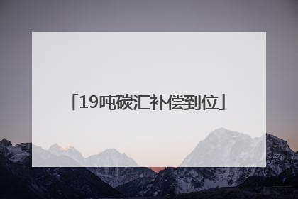 19吨碳汇补偿到位