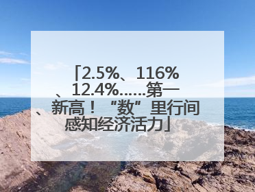 2.5%、116%、12.4%……第一、新高！“数”里行间感知经济活力