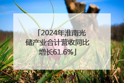 2024年淮南光储产业合计营收同比增长61.6%