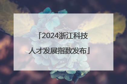 2024浙江科技人才发展指数发布