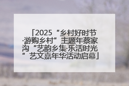 2025“乡村好时节·游购乡村”主题年蔡家沟“艺韵乡集·乐活时光”艺文嘉年华活动启幕
