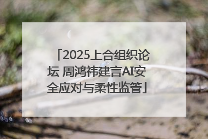 2025上合组织论坛 周鸿祎建言AI安全应对与柔性监管