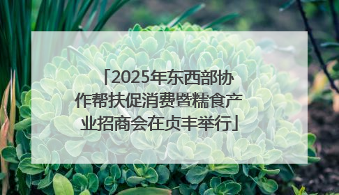 2025年东西部协作帮扶促消费暨糯食产业招商会在贞丰举行
