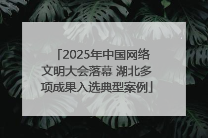 2025年中国网络文明大会落幕 湖北多项成果入选典型案例