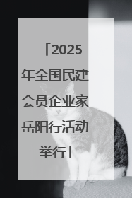 2025年全国民建会员企业家岳阳行活动举行