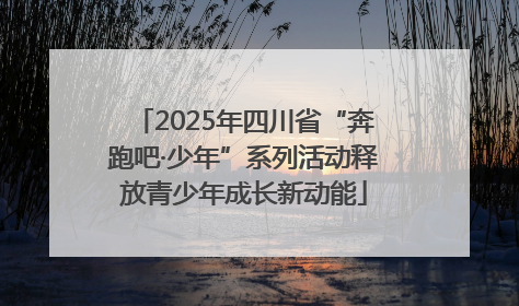 2025年四川省“奔跑吧·少年”系列活动释放青少年成长新动能