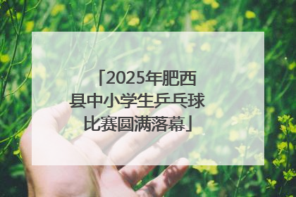 2025年肥西县中小学生乒乓球比赛圆满落幕