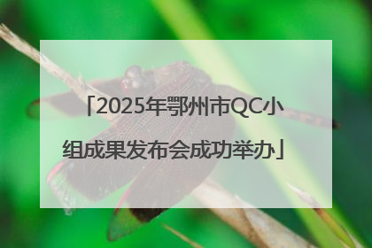 2025年鄂州市QC小组成果发布会成功举办