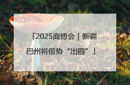 2025商博会｜新疆巴州将借势“出圈”