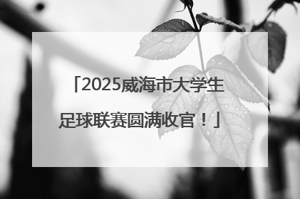 2025威海市大学生足球联赛圆满收官！