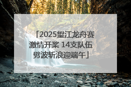 2025望江龙舟赛激情开桨 14支队伍劈波斩浪迎端午
