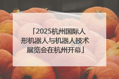 2025杭州国际人形机器人与机器人技术展览会在杭州开幕