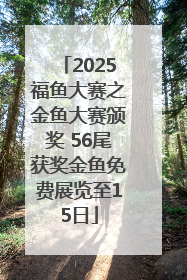 2025福鱼大赛之金鱼大赛颁奖 56尾获奖金鱼免费展览至15日