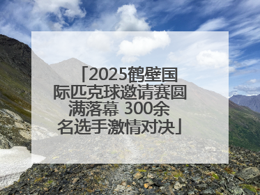 2025鹤壁国际匹克球邀请赛圆满落幕 300余名选手激情对决