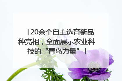 20余个自主选育新品种亮相，全面展示农业科技的“青岛力量”