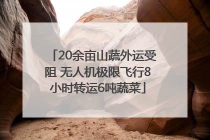20余亩山蔬外运受阻 无人机极限飞行8小时转运6吨蔬菜