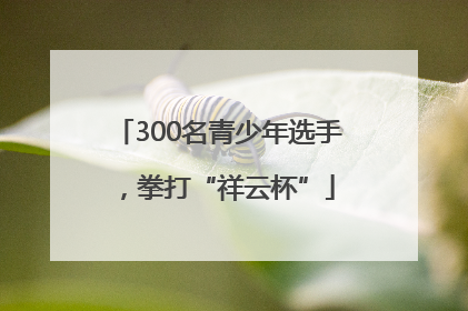 300名青少年选手，拳打“祥云杯”